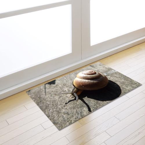 Fußmatte Grau Braun Insekt Rugs for Living Room Polyester Fussmatte Aussen Fußmatte Außen Innen Waschbar Teppiche Wohnzimmer Fusmatte Schmutzfangmatte Fußmatten Haustür Verdicken Doormat 100x150cm Fußmatte Grau Braun Insekt Rugs for Living Room Polyester Fussmatte Aussen Fußmatte Außen Innen Waschbar Teppiche Wohnzimmer Fusmatte Schmutzfangmatte Fußmatten Haustür Verdicken Doormat 100x150cm von LNXSESN
