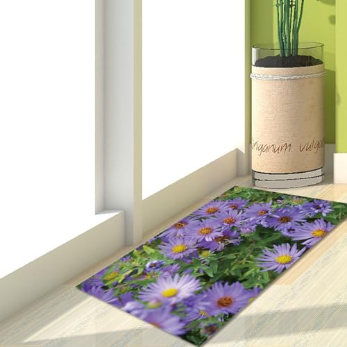 Fußmatte Grüne Blätter Lila Rugs for Living Room Polyester Fussmatte Aussen Fußmatte Außen Innen Waschbar Teppiche Wohnzimmer Fusmatte Schmutzfangmatte Fußmatten Haustür Verdicken Doormat 150x200cm Fußmatte Grüne Blätter Lila Rugs for Living Room Polyester Fussmatte Aussen Fußmatte Außen Innen Waschbar Teppiche Wohnzimmer Fusmatte Schmutzfangmatte Fußmatten Haustür Verdicken Doormat 150x200cm von LNXSESN
