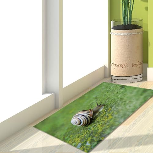 Fußmatte Grüne Insekten Rugs for Living Room Polyester Fussmatte Aussen Fußmatte Außen Innen Waschbar Teppiche Wohnzimmer Fusmatte Schmutzfangmatte Fußmatten Haustür Verdicken Doormat 120x160cm Fußmatte Grüne Insekten Rugs for Living Room Polyester Fussmatte Aussen Fußmatte Außen Innen Waschbar Teppiche Wohnzimmer Fusmatte Schmutzfangmatte Fußmatten Haustür Verdicken Doormat 120x160cm von LNXSESN