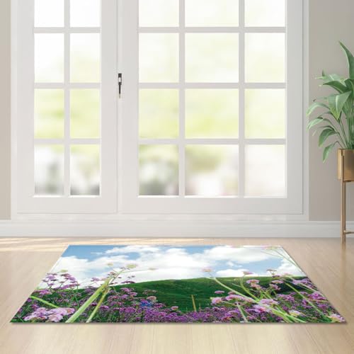 Fußmatte Grüner Berg Lila Rugs for Living Room Polyester Fussmatte Aussen Fußmatte Außen Innen Waschbar Teppiche Wohnzimmer Fusmatte Schmutzfangmatte Fußmatten Haustür Verdicken Doormat 50x80cm Fußmatte Grüner Berg Lila Rugs for Living Room Polyester Fussmatte Aussen Fußmatte Außen Innen Waschbar Teppiche Wohnzimmer Fusmatte Schmutzfangmatte Fußmatten Haustür Verdicken Doormat 50x80cm von LNXSESN