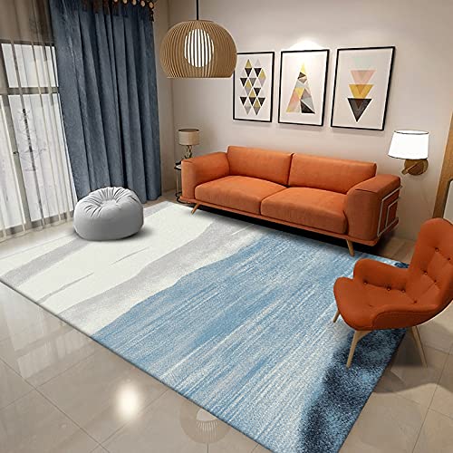 Fußmatte Himmelblau Grau Carpet Rugs for Living Room Polyester Fussmatte Aussen Fußmatte Außen Innen Waschbar Outdoor Teppich Wohnzimmer Schmutzfangmatte Fusmatte Fußmatten Haustür 80x120cm Fußmatte Himmelblau Grau Carpet Rugs for Living Room Polyester Fussmatte Aussen Fußmatte Außen Innen Waschbar Outdoor Teppich Wohnzimmer Schmutzfangmatte Fusmatte Fußmatten Haustür 80x120cm von LNXSESN