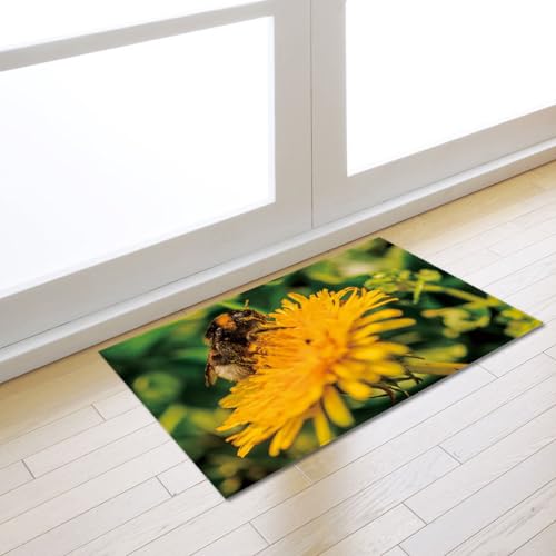 Fußmatte Insekten Chrysanthemum Carpet Rugs for Living Room Polyester Fussmatte Aussen Fußmatte Außen Innen Waschbar Outdoor Teppich Wohnzimmer Schmutzfangmatte Fusmatte Fußmatten Haustür 100x150cm von LNXSESN