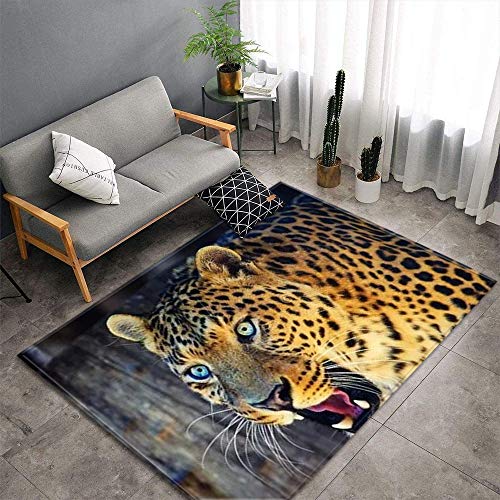 Fußmatte Leopard Gelb Fussmatte Aussen Polyester Fussmatte Innen Fußmatte Außen rutschfest Schmutzfangmatte Verdicken Teppich Wohnzimmer Waschbar Fußmatte Innen Fußabtreter 80x120cm von LNXSESN