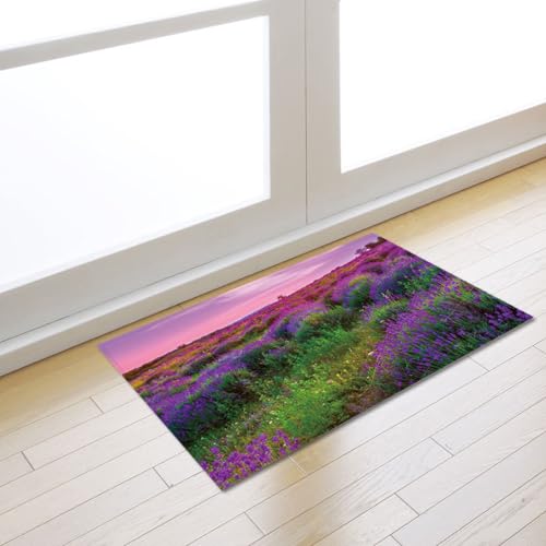 Fußmatte Lila Grün Rugs for Living Room Polyester Fussmatte Aussen Fußmatte Außen Innen Waschbar Teppiche Wohnzimmer Fusmatte Schmutzfangmatte Fußmatten Haustür Verdicken Doormat 100x120cm Fußmatte Lila Grün Rugs for Living Room Polyester Fussmatte Aussen Fußmatte Außen Innen Waschbar Teppiche Wohnzimmer Fusmatte Schmutzfangmatte Fußmatten Haustür Verdicken Doormat 100x120cm von LNXSESN