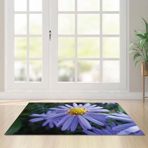 Fußmatte Lila Grün Rugs for Living Room Polyester Fussmatte Aussen Fußmatte Außen Innen Waschbar Teppiche Wohnzimmer Fusmatte Schmutzfangmatte Fußmatten Haustür Verdicken Doormat 40x60cm Fußmatte Lila Grün Rugs for Living Room Polyester Fussmatte Aussen Fußmatte Außen Innen Waschbar Teppiche Wohnzimmer Fusmatte Schmutzfangmatte Fußmatten Haustür Verdicken Doormat 40x60cm von LNXSESN