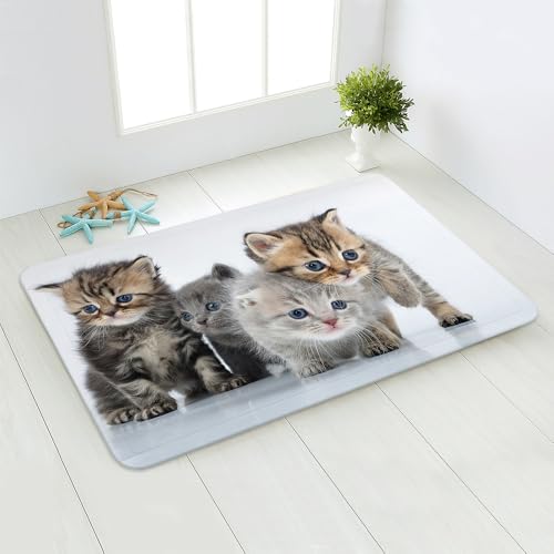 Fußmatte Niedliche Graue Katze Rugs for Living Room Polyester Verdicken Fussmatte Aussen Teppisch Waschbar Teppich Wohnzimmer Schmutzfangmatte Fussmatte Fußmatten Haustür Doormat Außen Innen 40x60cm von LNXSESN