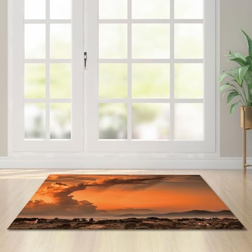 Fußmatte Orange Landschaft Rugs for Living Room Polyester Fussmatte Aussen Fußmatte Außen Innen Waschbar Teppiche Wohnzimmer Fusmatte Schmutzfangmatte Fußmatten Haustür Verdicken Doormat 40x60cm von LNXSESN