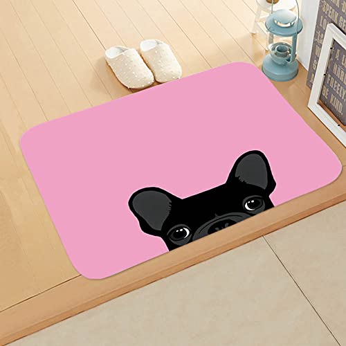 Fußmatte Pink Black Dog Fussmatte Aussen Polyester Fussmatte Innen Fußmatte Außen rutschfest Schmutzfangmatte Verdicken Teppich Wohnzimmer Waschbar Fußmatte Innen Fußabtreter 50x80cm Fußmatte Pink Black Dog Fussmatte Aussen Polyester Fussmatte Innen Fußmatte Außen rutschfest Schmutzfangmatte Verdicken Teppich Wohnzimmer Waschbar Fußmatte Innen Fußabtreter 50x80cm von LNXSESN