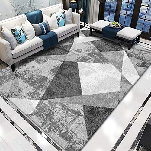 Fußmatte Retro Grau Weiß Rugs for Living Room Polyester Verdicken Fussmatte Aussen Teppisch Waschbar Teppich Wohnzimmer Schmutzfangmatte Fussmatte Fußmatten Haustür Doormat Außen Innen 40x60cm von LNXSESN