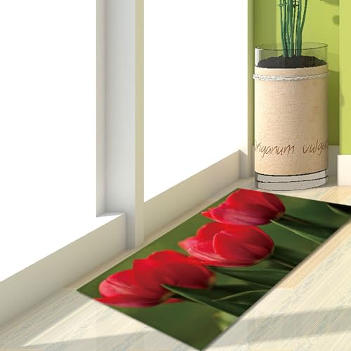 Fußmatte Retro Grün Rot Rugs for Living Room Polyester Fussmatte Aussen Fußmatte Außen Innen Waschbar Teppiche Wohnzimmer Fusmatte Schmutzfangmatte Fußmatten Haustür Verdicken Doormat 40x60cm Fußmatte Retro Grün Rot Rugs for Living Room Polyester Fussmatte Aussen Fußmatte Außen Innen Waschbar Teppiche Wohnzimmer Fusmatte Schmutzfangmatte Fußmatten Haustür Verdicken Doormat 40x60cm von LNXSESN
