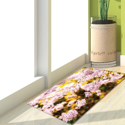 Fußmatte Rosa Blume Gold Rugs for Living Room Polyester Fussmatte Aussen Fußmatte Außen Innen Waschbar Teppiche Wohnzimmer Fusmatte Schmutzfangmatte Fußmatten Haustür Verdicken Doormat 40x60cm von LNXSESN