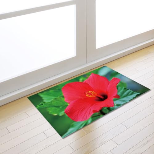 Fußmatte Rote Blume Grün Rugs for Living Room Polyester Fussmatte Aussen Fußmatte Außen Innen Waschbar Teppiche Wohnzimmer Fusmatte Schmutzfangmatte Fußmatten Haustür Verdicken Doormat 120x160cm von LNXSESN