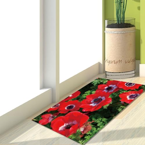 Fußmatte Rote Blumen Pflanzen Rugs for Living Room Polyester Fussmatte Aussen Fußmatte Außen Innen Waschbar Teppiche Wohnzimmer Fusmatte Schmutzfangmatte Fußmatten Haustür Verdicken Doormat 120x160cm Fußmatte Rote Blumen Pflanzen Rugs for Living Room Polyester Fussmatte Aussen Fußmatte Außen Innen Waschbar Teppiche Wohnzimmer Fusmatte Schmutzfangmatte Fußmatten Haustür Verdicken Doormat 120x160cm von LNXSESN