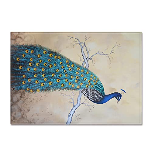 Fußmatte Vintage Türkis Pfau Fussmatte Aussen Polyester Fussmatte Innen Fußmatte Außen rutschfest Schmutzfangmatte Verdicken Teppich Wohnzimmer Waschbar Fußmatte Innen Fußabtreter 50x80cm von LNXSESN