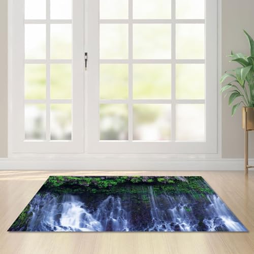 Fußmatte Wasserfall Blätter Rugs for Living Room Polyester Fussmatte Aussen Fußmatte Außen Innen Waschbar Teppiche Wohnzimmer Fusmatte Schmutzfangmatte Fußmatten Haustür Verdicken Doormat 150x200 von LNXSESN