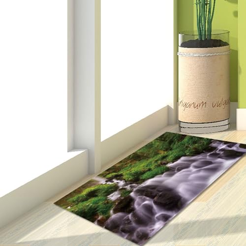 Fußmatte Wasserfall Grün Rugs for Living Room Polyester Fussmatte Aussen Fußmatte Außen Innen Waschbar Teppiche Wohnzimmer Fusmatte Schmutzfangmatte Fußmatten Haustür Verdicken Doormat 40x60cm von LNXSESN