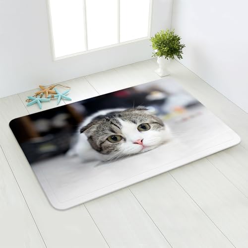 Fußmatte Weiß Grau Rugs for Living Room Polyester Verdicken Fussmatte Aussen Teppisch Waschbar Teppich Wohnzimmer Schmutzfangmatte Fussmatte Fußmatten Haustür Doormat Außen Innen 80x120cm von LNXSESN