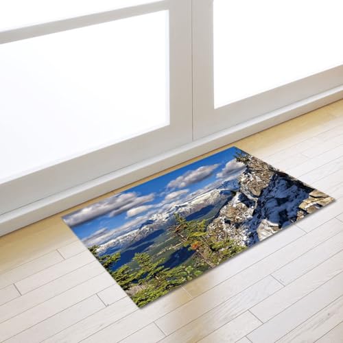 Fußmatte Weiß Himmelblau Rugs for Living Room Polyester Fussmatte Aussen Fußmatte Außen Innen Waschbar Teppiche Wohnzimmer Fusmatte Schmutzfangmatte Fußmatten Haustür Verdicken Doormat 50x80cm von LNXSESN