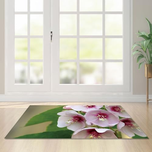 Fußmatte Weiß Lila Grün Rugs for Living Room Polyester Fussmatte Aussen Fußmatte Außen Innen Waschbar Teppiche Wohnzimmer Fusmatte Schmutzfangmatte Fußmatten Haustür Verdicken Doormat 100x120cm von LNXSESN