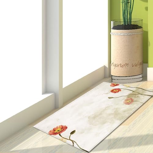 Fußmatte Ziegel Rot Grün Rugs for Living Room Polyester Fussmatte Aussen Fußmatte Außen Innen Waschbar Teppiche Wohnzimmer Fusmatte Schmutzfangmatte Fußmatten Haustür Verdicken Doormat 100x120cm von LNXSESN