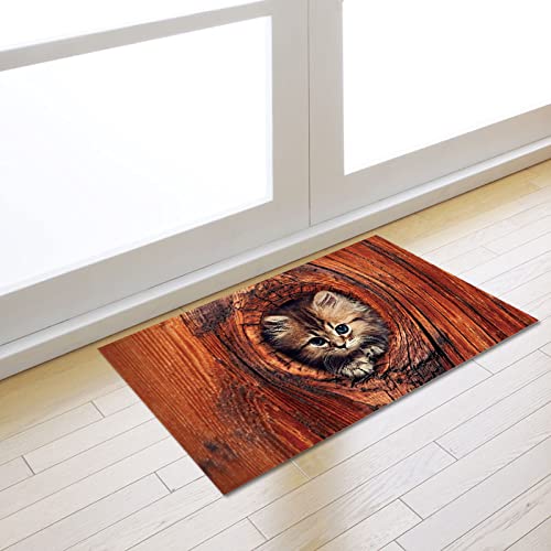 LNXSESN Fußmatte Katze Braun Rot Teppich Polyester Verdicken Schmutzfangmatte Aussen rutschfest Fussmatte Aussen Weich Fußmatte Außen Fussmatten Haustür Waschbar Fußabtreter Innen Türmatte 40x60cm von LNXSESN