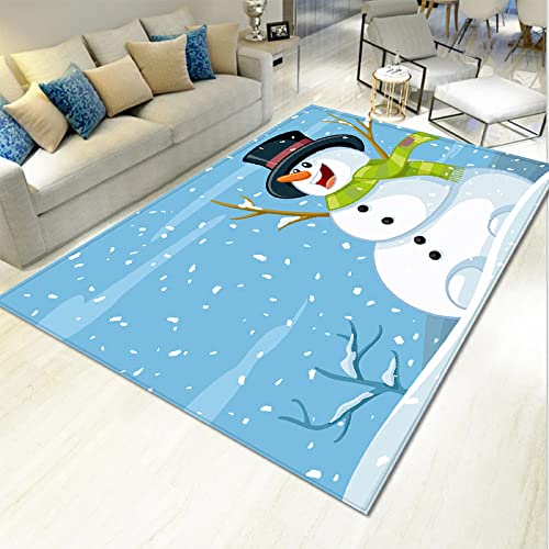 Outdoor Teppich Schneemann Blau Grün Schmutzfangmatte Polyester Verdicken Fußmatte Außen Innen rutschfest Fussmatte Weich Fussmatten Haustür Waschbar Fussabtreter Aussenbereich Türmatte 50x80cm von LNXSESN