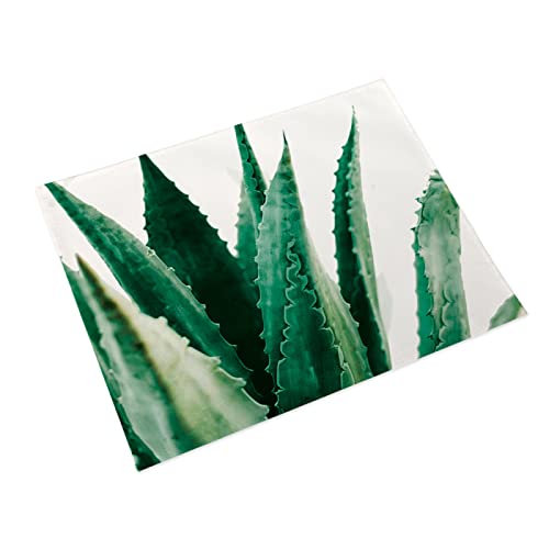 Tischsets Abwaschbar Aloe Grün Weiß Platzset Baumwolle Leinen Platzsets Grifffeste Tischset Hitzebeständig Platzdeckchen Antifouling Tischset Filz Abwischbar Platzset Filz 30x45 2 Pcs von LNXSESN