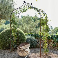 Rosenbogen Dimarus Rosenbogen Dimarus von LOBERON