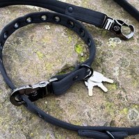 Diebstahlsichere Hundeleine + Halsband in Einem 2 Schlösser 3 Schlüssel Made Germany von LOCKDOG