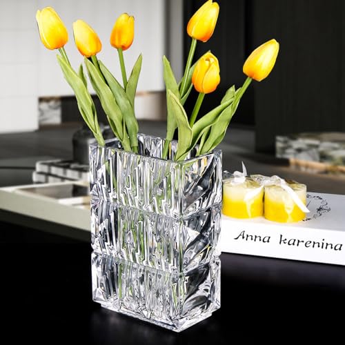 20cm Kristallglas Vase, Verdickte klare Glas Blumenvase, große große quadratische Vase Dekorative Vasen Blumen Moderne Bauernhaus Mittelstück, Home Room Dekor (Transparent) von LODCZIOE