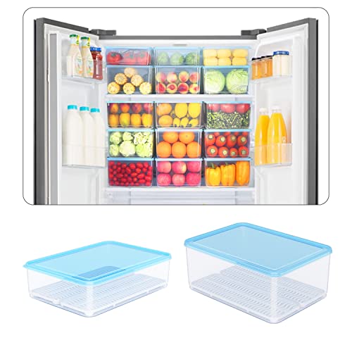 LÖWENBISS Kühlschrank Organizer Küchen Ordnungssystem Set mit Deckel groß Stapelbar Transparent Speisekammer Vorratsbehälter Tiefkühldosen Gefrierdosen Frischhaltebox (40 Liter (8 * 5L, 16*Gitter)) LÖWENBISS Kühlschrank Organizer Küchen Ordnungssystem Set mit Deckel groß Stapelbar Transparent Speisekammer Vorratsbehälter Tiefkühldosen Gefrierdosen Frischhaltebox (40 Liter (8 * 5L, 16*Gitter)) von LÖWENBISS
