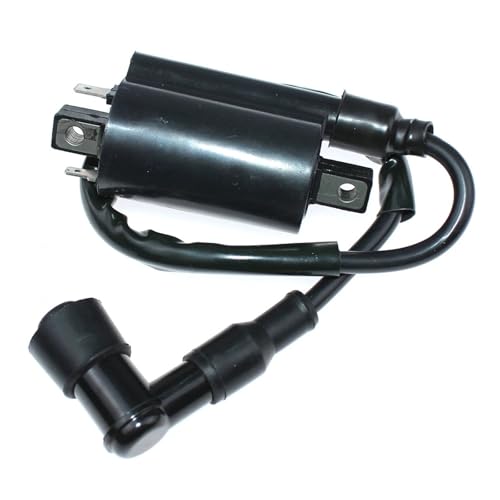 Zündspule for J-oh D-ee LX186 LX188 LX277 LX279 LX289 F710 F725 F911 4x2 4x4 6x4 XUV G-at 620i 625i 1800 Nutzfahrzeug von LOFLRCFE