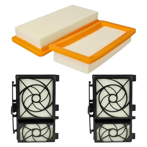 4 Stück Filter Zubehör für Kärcher DS6 DS 6 Premium Staubsauger Ersatzfilter Ersatzteile (2 Motorschutz-Filter + 2 HEPA 13-Filter) von LOHILL