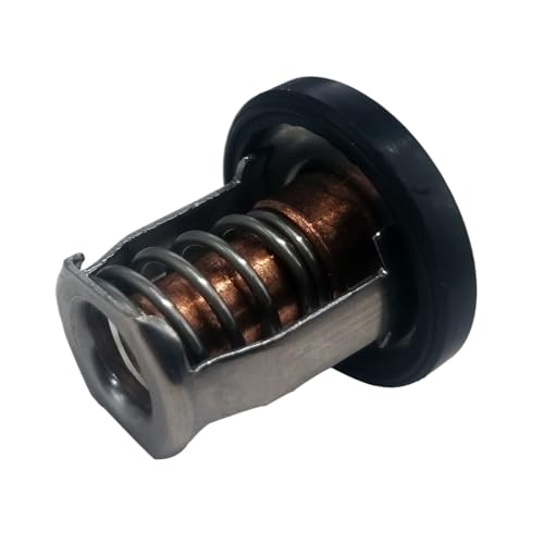 Auto-Thermostat Thermostat-Kit/Fit for Suzuki DF 8A 9,9 A 15R 20R 25A 30A 17670-94J00 17670-94J01 17670-94J02 Thermostat Kompatibel von LOHWSTRFG