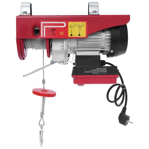 Elektrische Seilwinde,125/250kg Tragfähigkeit 550W Elektrischer Hebezug Hubhöhe 12m mit Funkfernbedienung 80m Reichweite, für Landwirtschaft, Fabriken, Docks von LOIRIIC