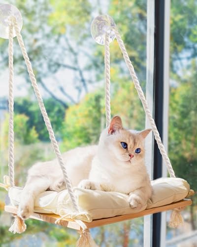 Cat Fenster Barsch - robuste Katzenhängematte mit 4 starken Saugnäpfeln, weichem Kissen und massivem Holzsitz - rustikales Haustierbett für Innenkatzen Cat Fenster Barsch - robuste Katzenhängematte mit 4 starken Saugnäpfeln, weichem Kissen und massivem Holzsitz - rustikales Haustierbett für Innenkatzen von LOKAXXZU