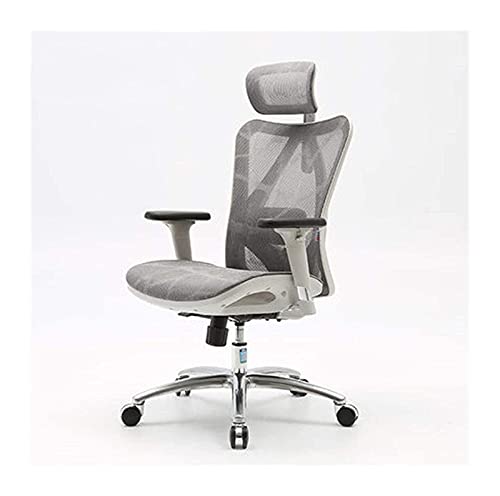 LOKAXXZU Bürostuhl Ergonomischer Stuhl Computerstuhl Haus komfortable sitzende Ingenieurtischstühle, Grau LOKAXXZU Bürostuhl Ergonomischer Stuhl Computerstuhl Haus komfortable sitzende Ingenieurtischstühle, Grau von LOKAXXZU