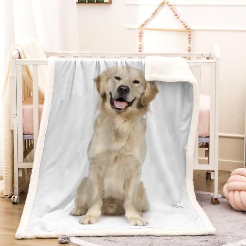 Golden Retriever 3D Drucken Kuscheldecke 70X100cm Tier Flauschige Decke Warm Sherpa Decke Dekorativ Wohndecke,Weiche PlüSch Decke Blanket FüR Kinder Erwachsene Couchdecke von LOLEIA