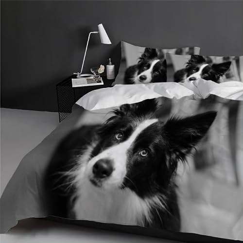 LOLEIA Bettwäsche Einzelbett 135x200 Border Collie Bettwäsche Set 3 Teilig 100% Mikrofaser Weich Grau 3D Druck Bettbezüge Kinder mit Reißverschluss mit 2 Kissenbezüge 80x80 von LOLEIA