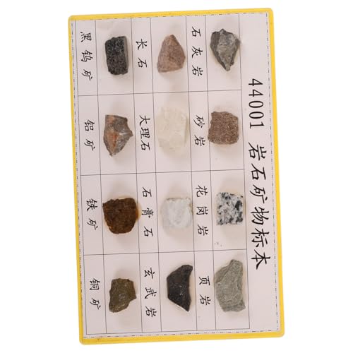 LOLIPPYY 12 Stck. Teiliges Mineralien Gesteinsproben Vielfältigen Strukturen für Geologieunterricht Laboranalysen und Sammlungen Erkennbar und Leicht Identifizierbar LOLIPPYY 12 Stck. Teiliges Mineralien Gesteinsproben Vielfältigen Strukturen für Geologieunterricht Laboranalysen und Sammlungen Erkennbar und Leicht Identifizierbar von LOLIPPYY