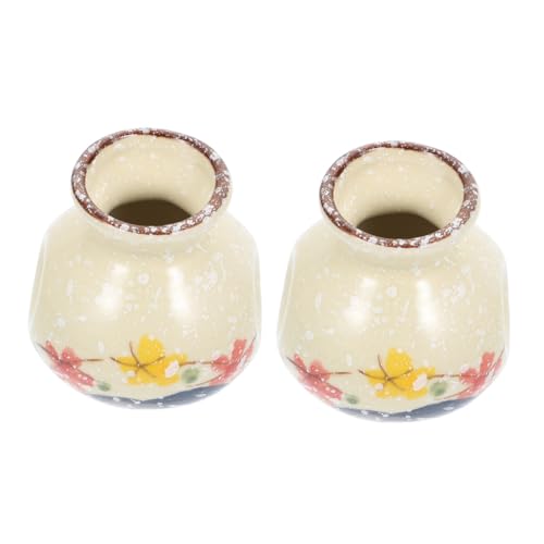 LOLIPPYY 2 Stück Mini Zahnstocherhalter und Kleine Blumenvase aus Dekorativer Pflanzentopf mit Stabilem Rundem Boden für Tischdeko zu Hause Büro Restaurant Teiliges von LOLIPPYY