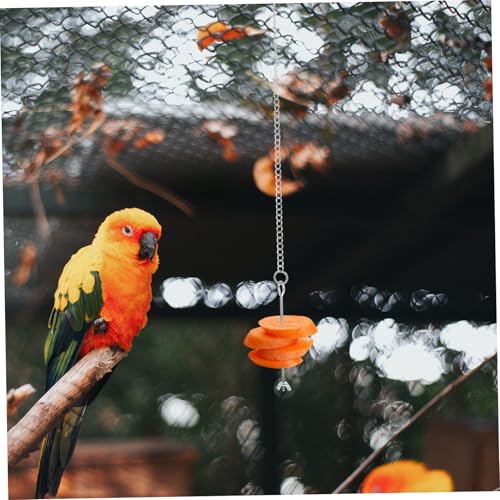 LOLIPPYY 3 Stück Teiliges Parrot Futterspender aus Edelstahl Hängender Vogel Obst Gemüsehalter Geeignet für Papagei Wellensittich Nymphensittich und Kleine Vögel Einfach zu Verwenden und LOLIPPYY 3 Stück Teiliges Parrot Futterspender aus Edelstahl Hängender Vogel Obst Gemüsehalter Geeignet für Papagei Wellensittich Nymphensittich und Kleine Vögel Einfach zu Verwenden und von LOLIPPYY