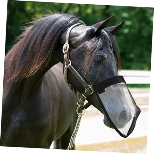 LOLIPPYY Fliegenmaske Pferd Mittelgroß Atmungsaktiv Feinmaschiges Netz Insektenschutz Pferdepflege Komfortable Passform Elastisch Ohrenfrei Geeignet für Sommer LOLIPPYY Fliegenmaske Pferd Mittelgroß Atmungsaktiv Feinmaschiges Netz Insektenschutz Pferdepflege Komfortable Passform Elastisch Ohrenfrei Geeignet für Sommer von LOLIPPYY