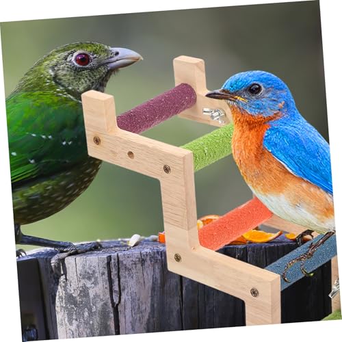 LOLIPPYY Holzleiter für Papageien und Wellensittiche Buntes Vogelspielzeug zum Klettern und Trainieren Kleines Klettergerüst für Käfig und Käfigzubehör Geeignet für Nymphensittiche und LOLIPPYY Holzleiter für Papageien und Wellensittiche Buntes Vogelspielzeug zum Klettern und Trainieren Kleines Klettergerüst für Käfig und Käfigzubehör Geeignet für Nymphensittiche und von LOLIPPYY