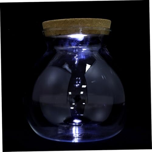 LOLIPPYY LED Glasflasche mit LED Licht Micro Landscape DIY Flaschengarten Dekorative Glasvase für Kreative Innenraumdekoration Wohnzimmer Schlafzimmer Büro LOLIPPYY LED Glasflasche mit LED Licht Micro Landscape DIY Flaschengarten Dekorative Glasvase für Kreative Innenraumdekoration Wohnzimmer Schlafzimmer Büro von LOLIPPYY