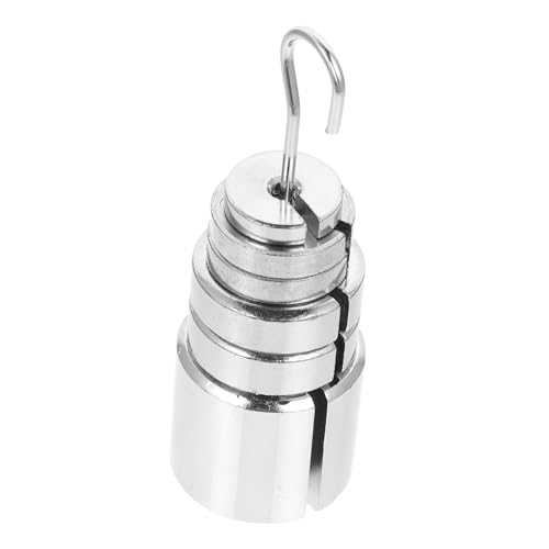 LOLIPPYY Metall Steggewichte Set mit Haken Präzise Gefertigte Slotted Gewichte für Physik Experimente Stabil und Praktisch Inklusive Aufhänger für Einfache Handhabung für Wiegevorgänge und von LOLIPPYY