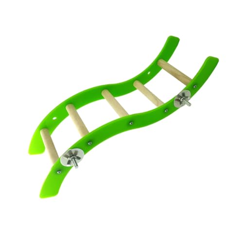 LOLIPPYY Mini Bunte Hamster Kletterleiter Spielerisches Kleintier Robust Leicht zu Reinigen für Hamster Mäuse und Kleine Haustiere Grün von LOLIPPYY