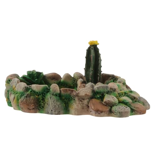 LOLIPPYY Simulation Kaktus Futterschale aus Langlebigem Harz mit Niedrigem Schwerpunkt Stabile Wasserschale für Schildkröten Eidechsen Schlangen und Kleine Reptilien im Terrarium LOLIPPYY Simulation Kaktus Futterschale aus Langlebigem Harz mit Niedrigem Schwerpunkt Stabile Wasserschale für Schildkröten Eidechsen Schlangen und Kleine Reptilien im Terrarium von LOLIPPYY