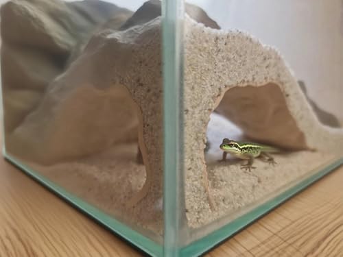 Reptilien- und Garnelenversteckhöhle, 3D-gedruckte Aquarium-Dekoration für Bartagamenschlange, Aquarium-Zubehör, Terrarium-Eckunterstand (Gary, Einheitsgröße) von LOLLBIRD