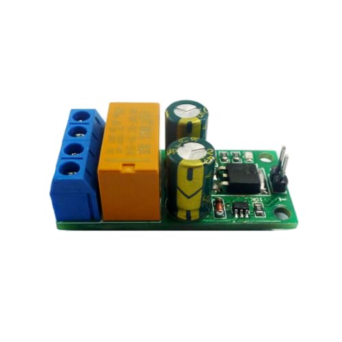 LOLPALONE DC6-24V 2A selbstsicherndes bistabiles Verpolungsregler-Relaismodul DR55B01 Motor Vorwärts/Rückwärts-Controller-Platine von LOLPALONE